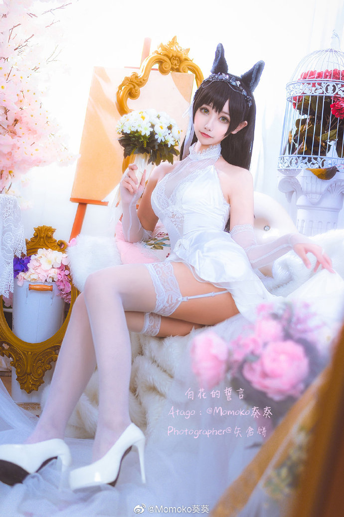 【COS】碧蓝航线 爱宕（23套/22位）